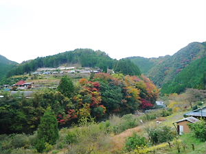 紅葉のある風景