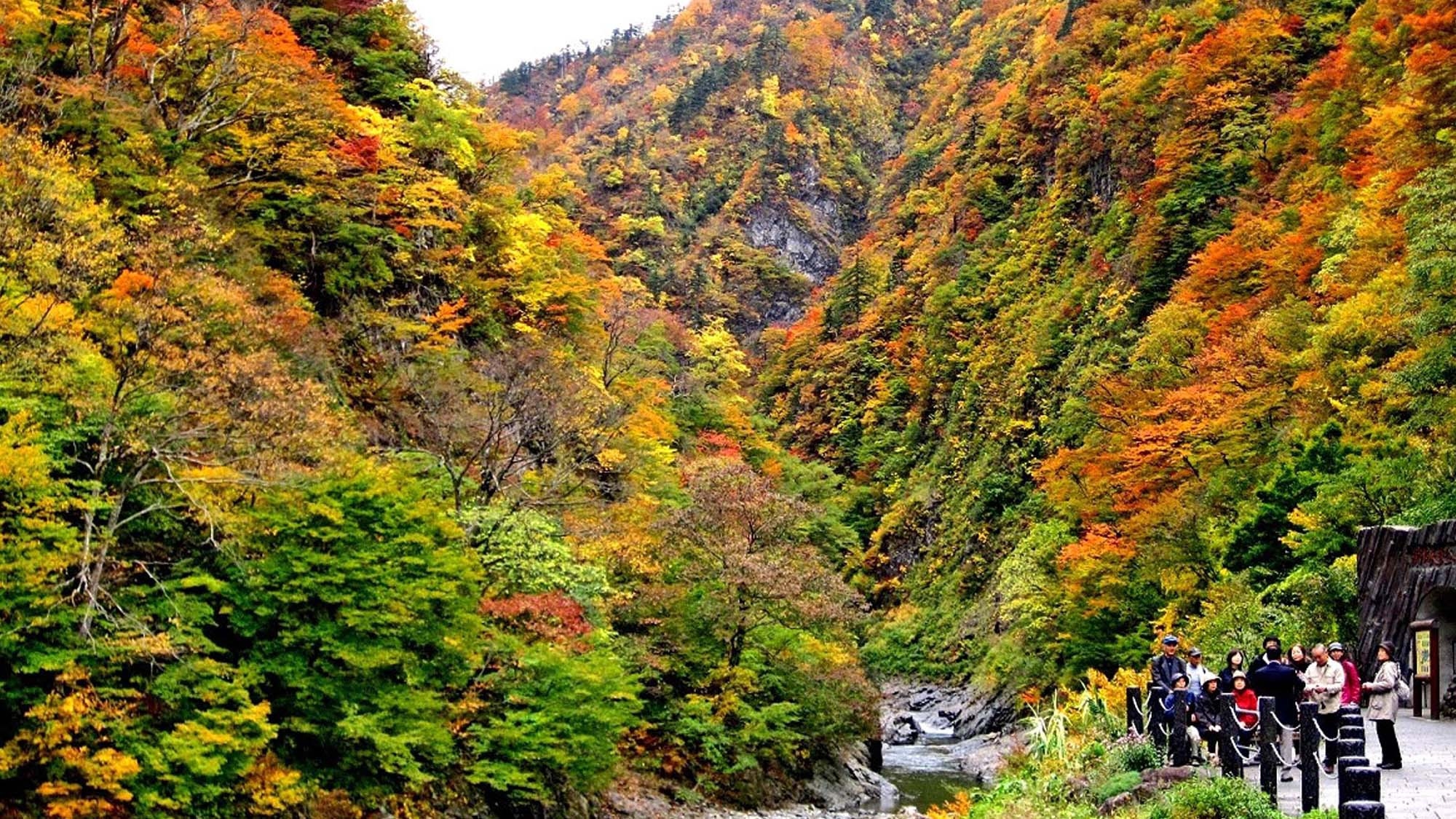 色づく秋は清津峡へ♪渓流沿いの露天風呂は開放感◎！体にやさしい創作和食で旬の味覚を堪能（夕朝食付）