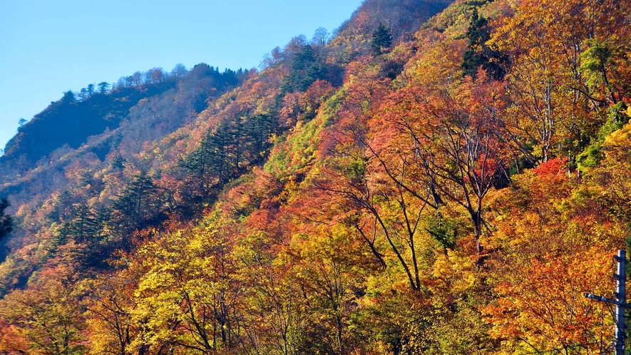 【清津峡・秋】色づく秋は清津峡が一番賑わう季節です