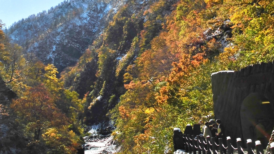 【清津峡・秋】紅葉と雪のコントラストはお天気次第の眺めです