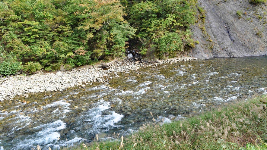 【貸切露天風呂】露天風呂からの眺め。