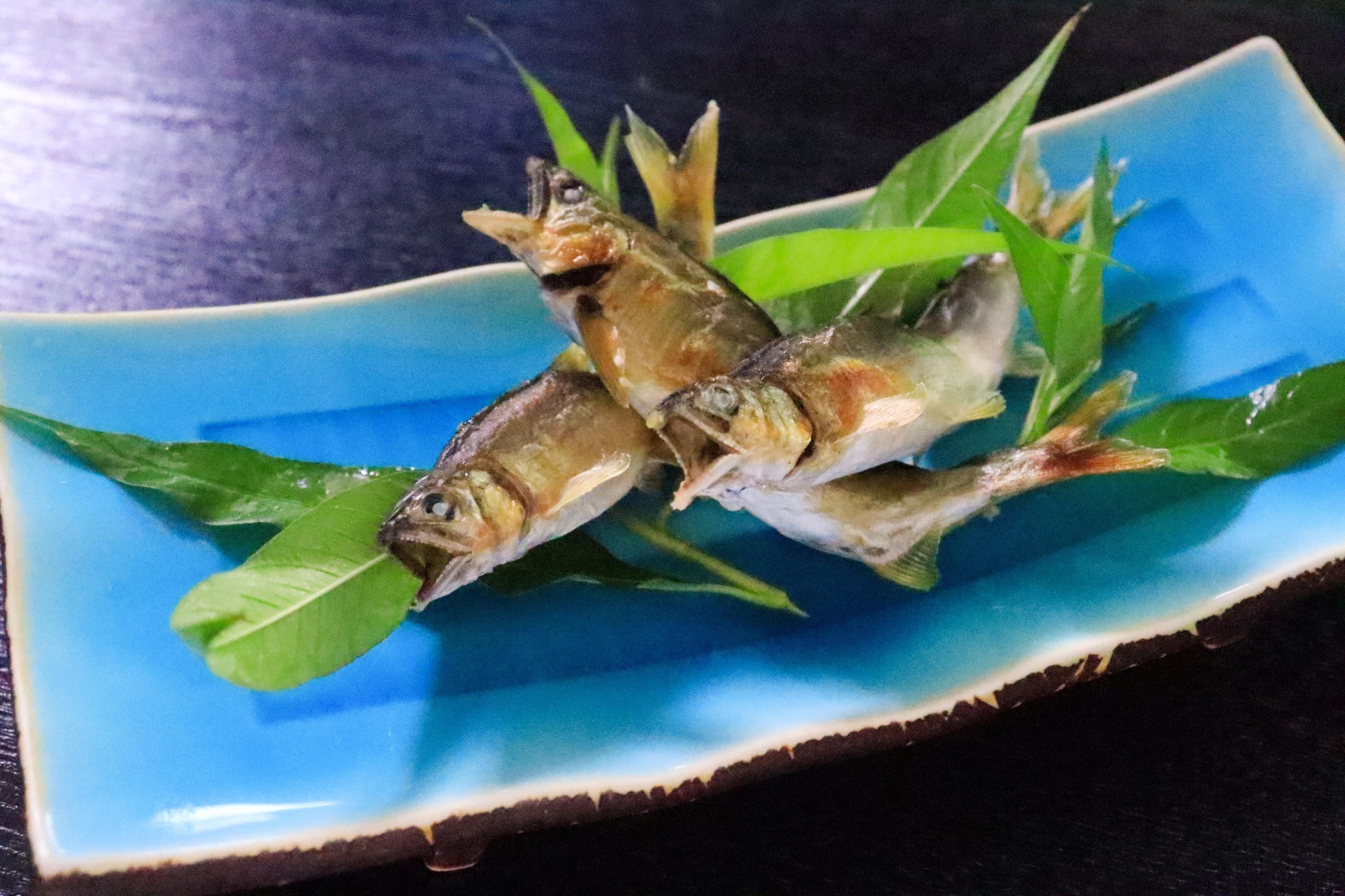 【鮎堪能プラン】となみブランド「生粋の庄川鮎」至極の鮎料理堪能プラン