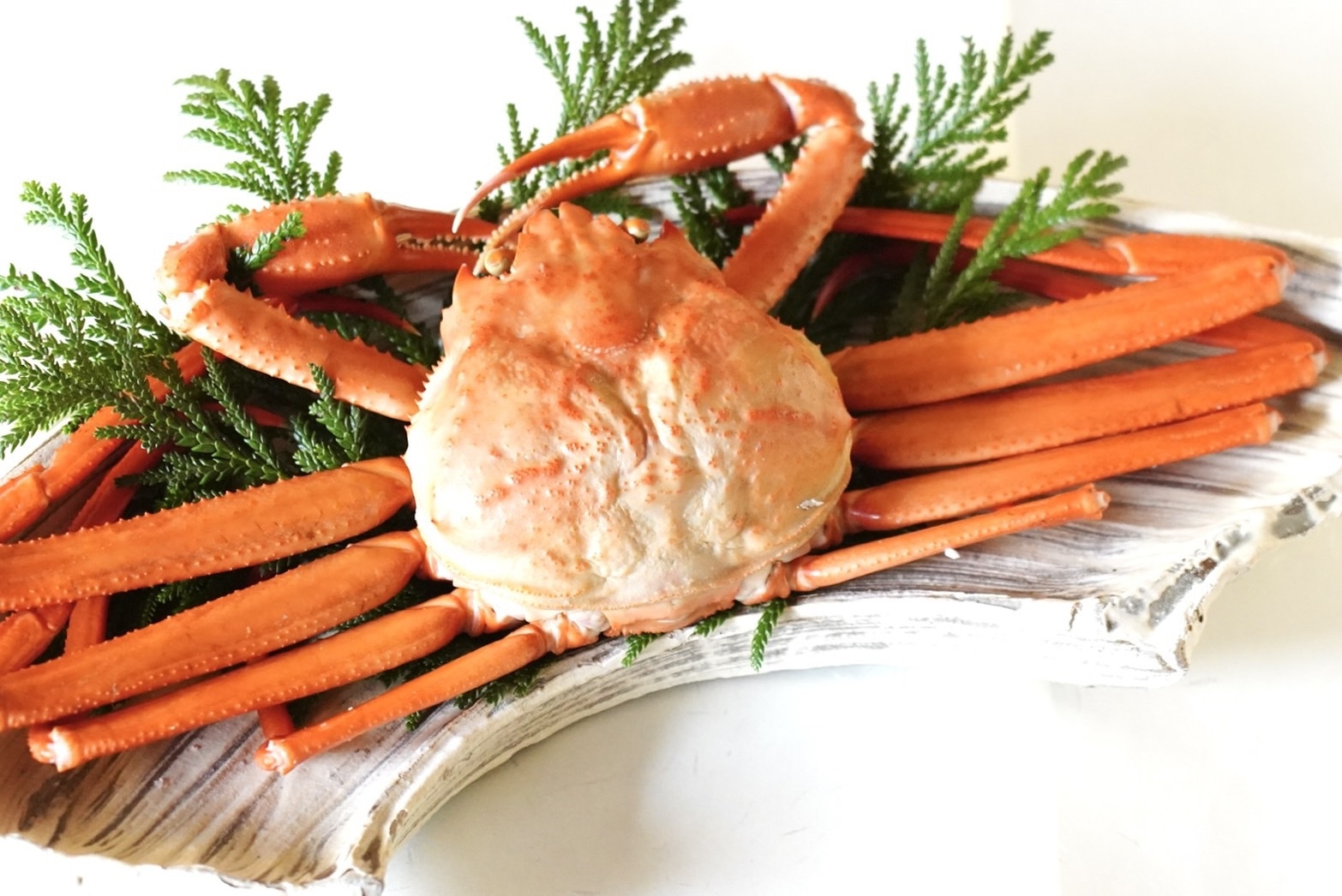 【特別会席】鰤しゃぶ・紅ズワイ蟹・氷見牛炭火焼きなど北陸の冬を愉しむ特別会席