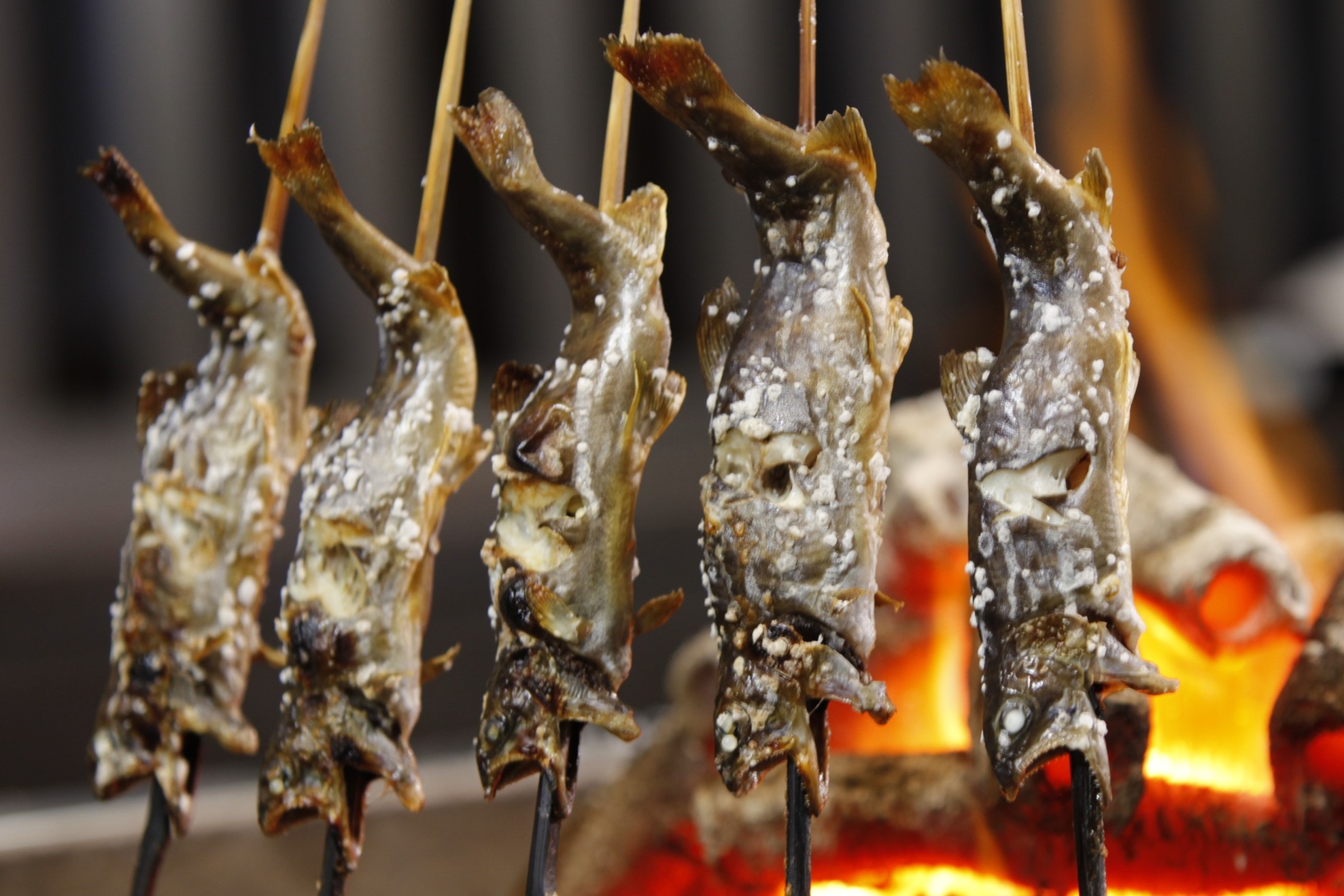 【冬期・1日2組限定】冬のめぐみ膳