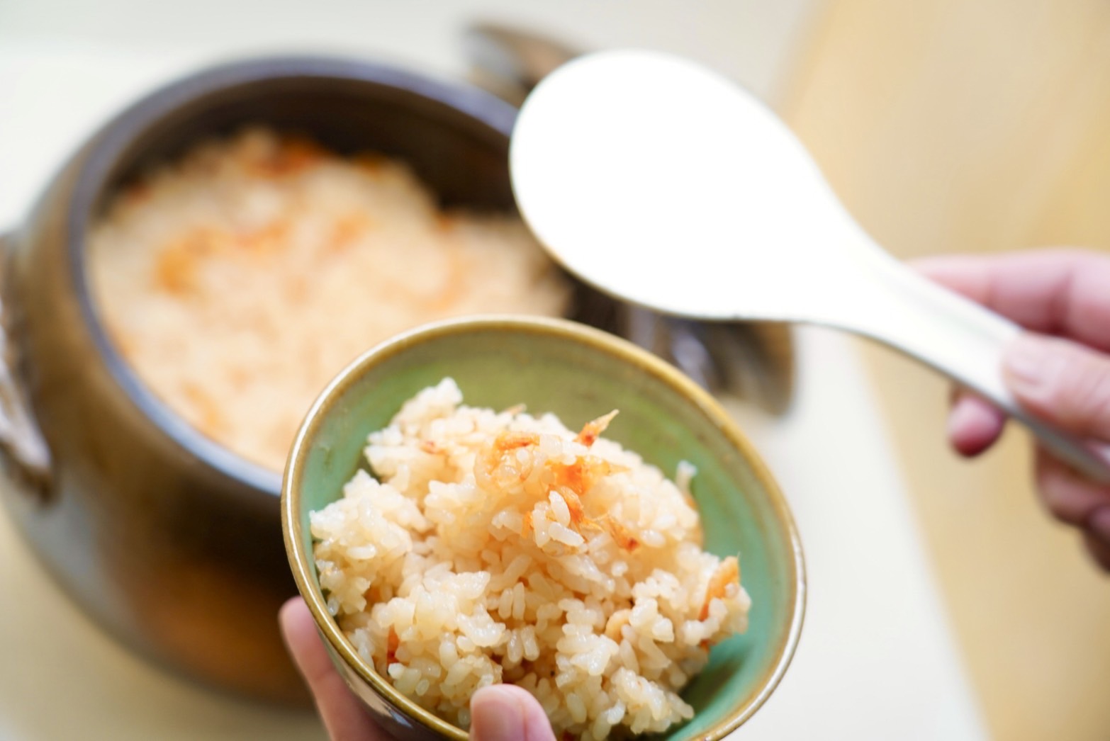 桜海老土鍋御飯