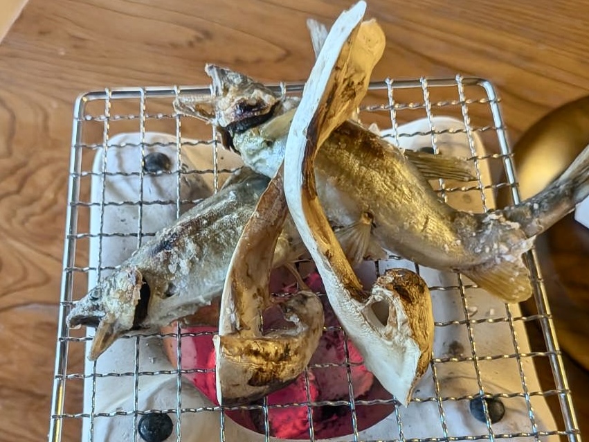 秋の特別会席　子持ち鮎と松茸の炭火焼き