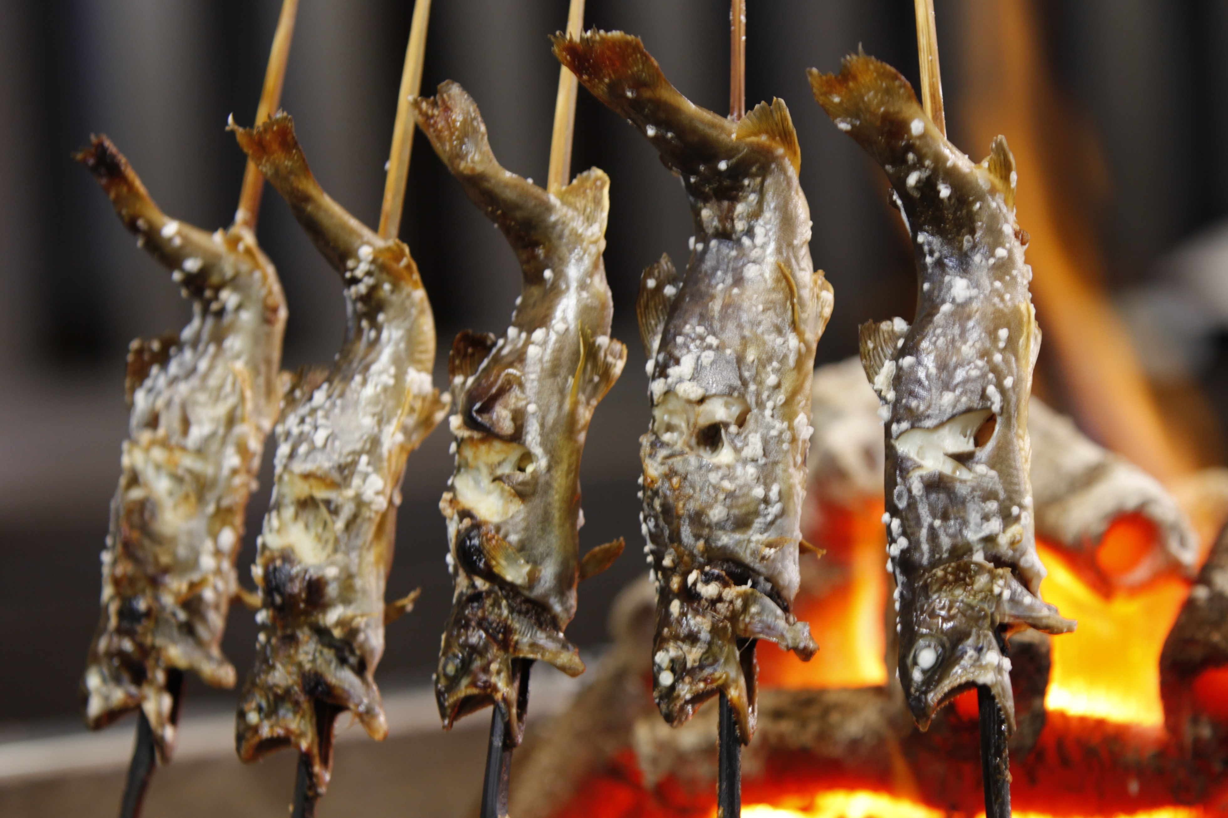 岩魚の炭火焼き