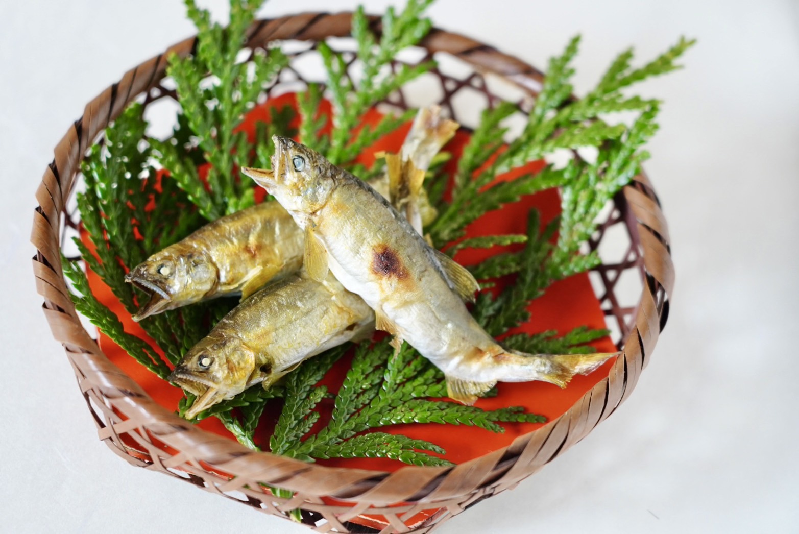 春の特別会席　若鮎の塩焼き