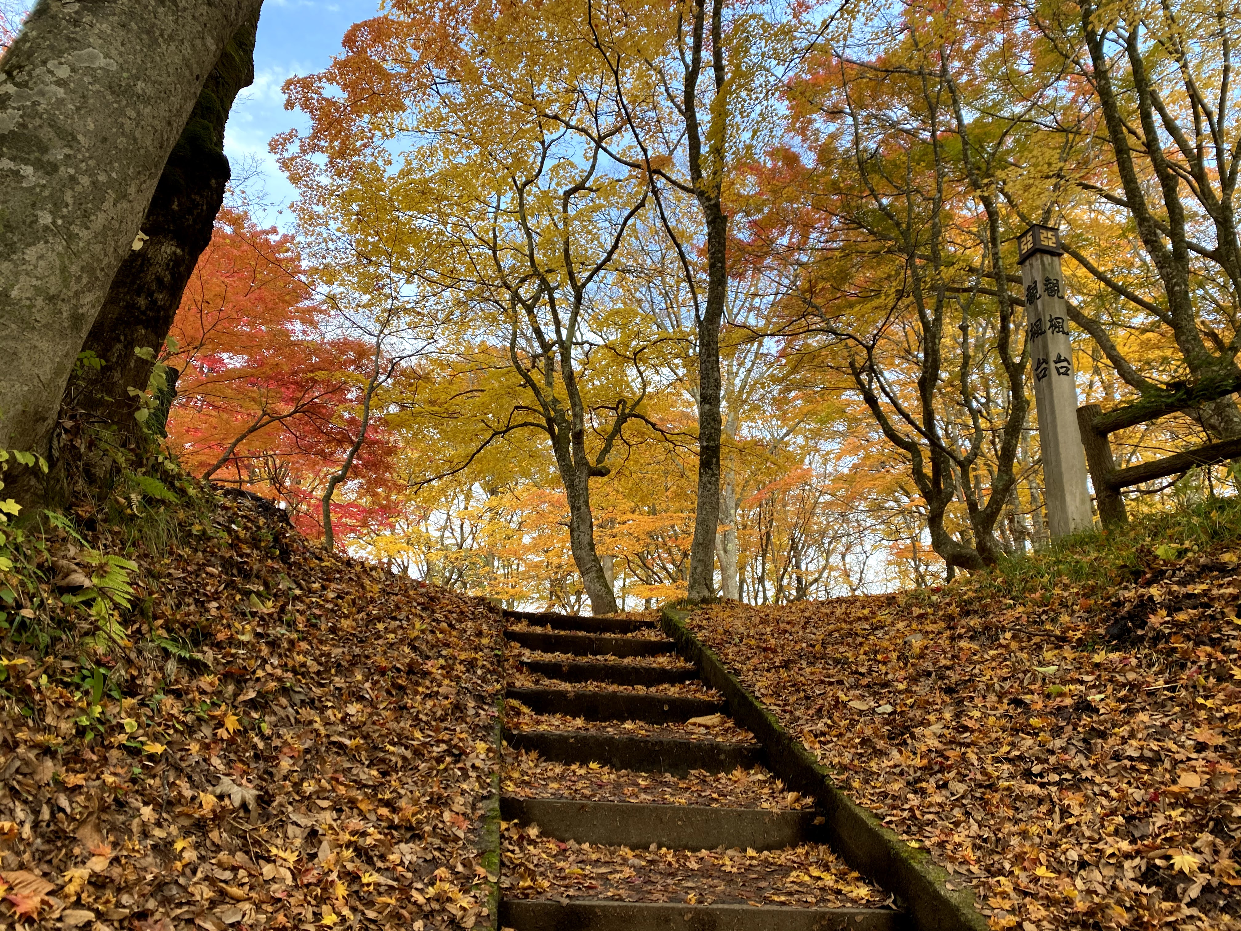 中野もみじ山01