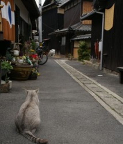 民宿の通り