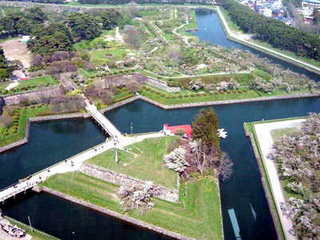 五稜郭公園の桜