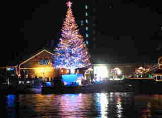 港のクリスマスツリー