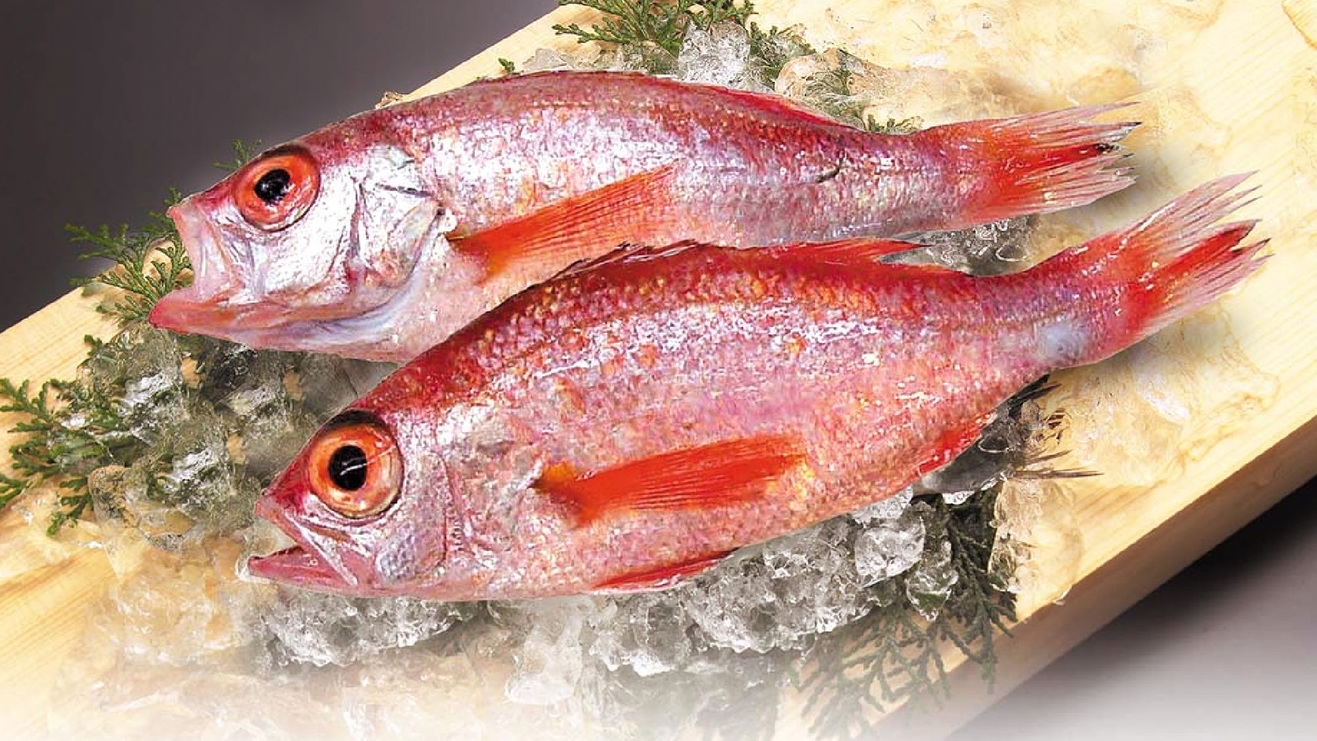 【2食付（懐石料理）】地元食材を堪能したい方はこちら！絶品「のどぐろ」付の贅沢プラン
