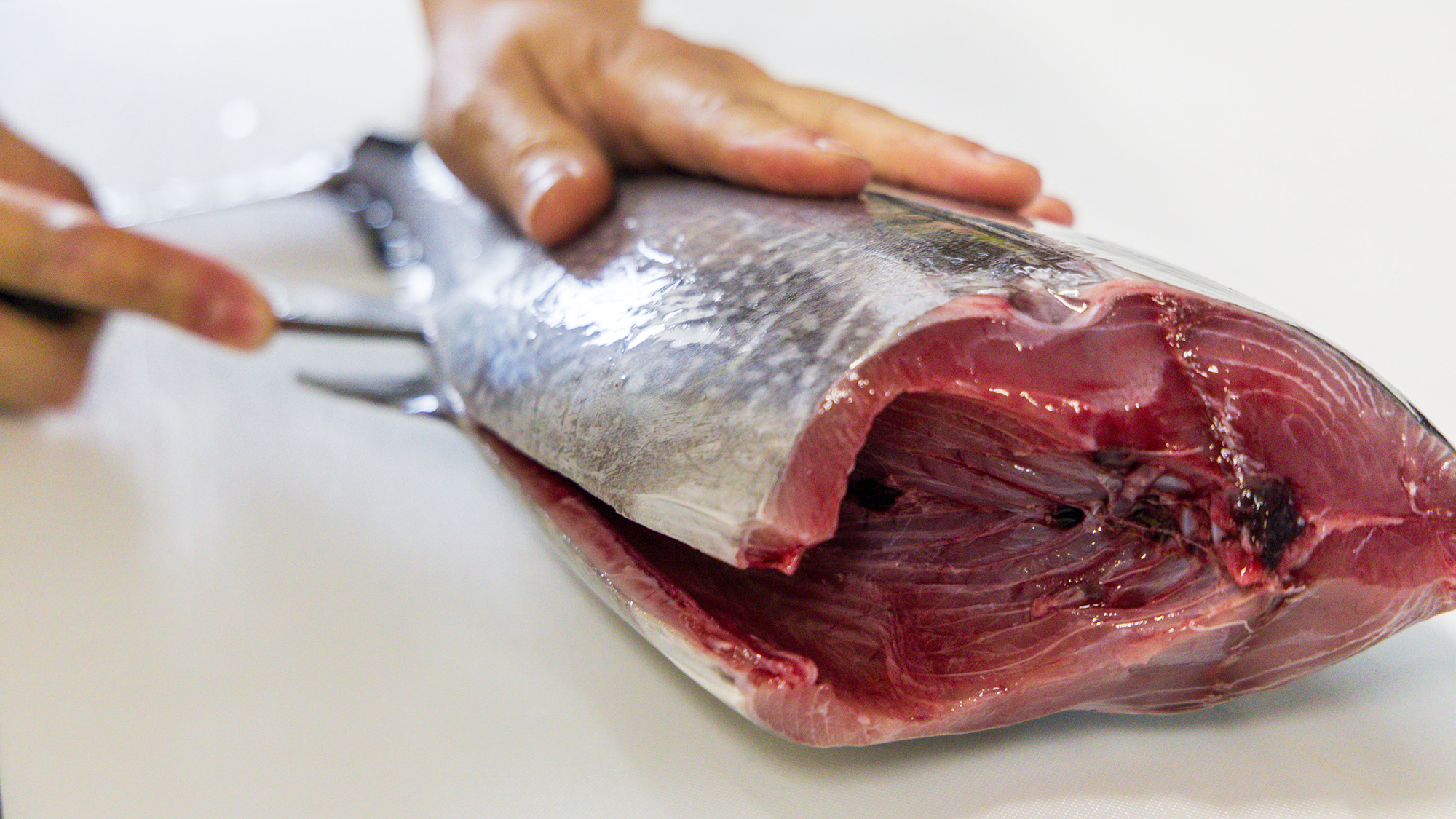 その日に揚がった旬の魚を職人の技で。島根の海が育んだ至福の味わい。