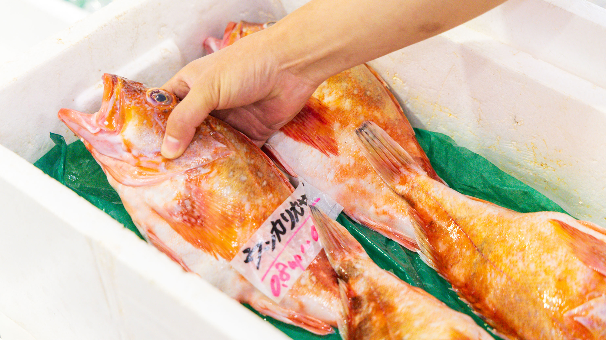 朝獲れの魚をそのまま食卓へ。旬の旨みをホテルで堪能。