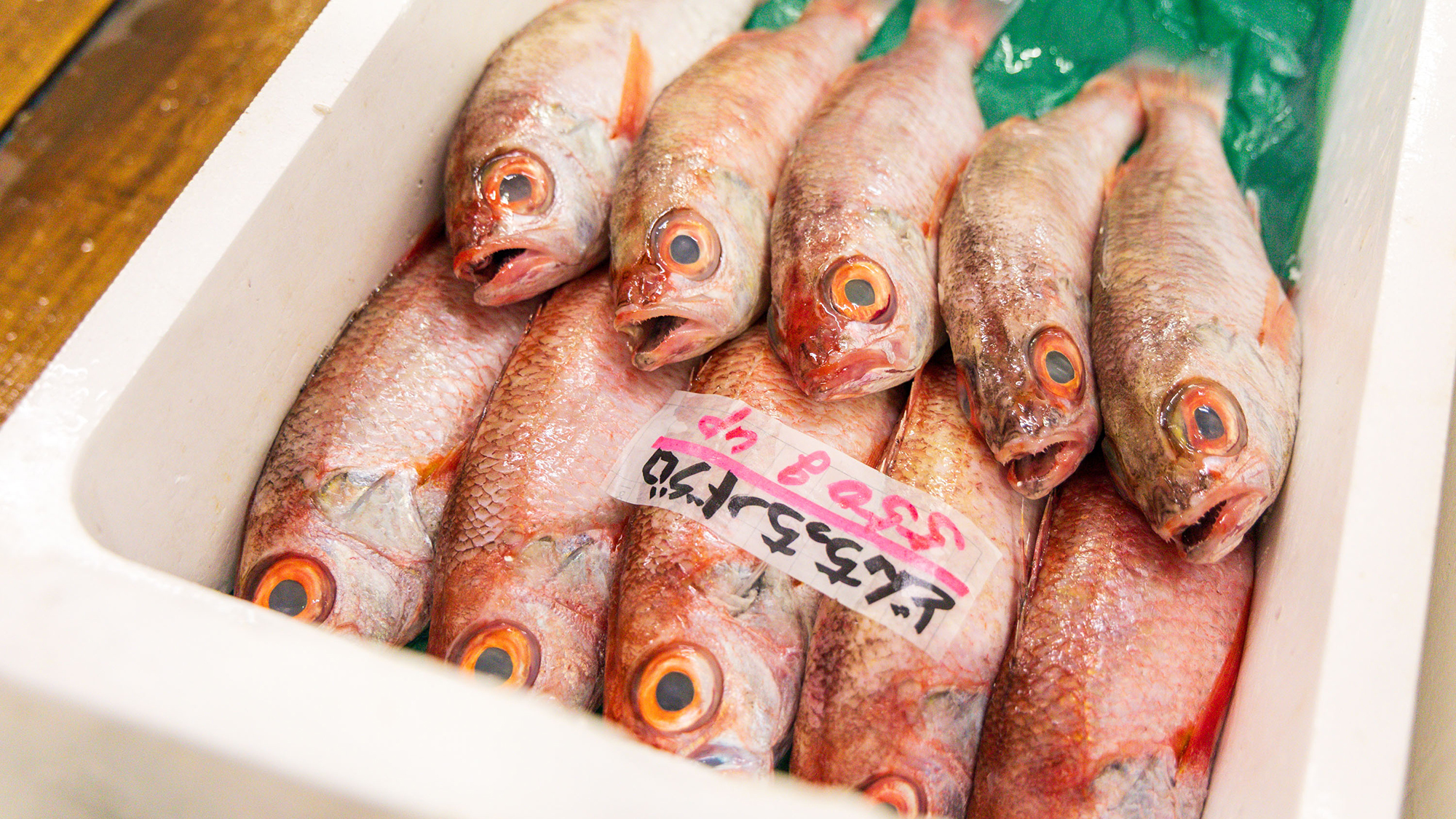 島根の海が育んだ、絶品のどぐろ