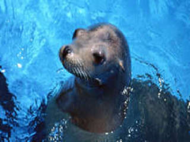 江ノ島水族館