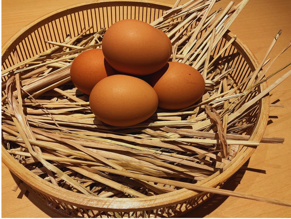 【1泊朝付】ゆったり朝のひとときを愉しむこだわり和食膳プラン