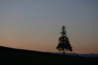 冬の富良野・美瑛　