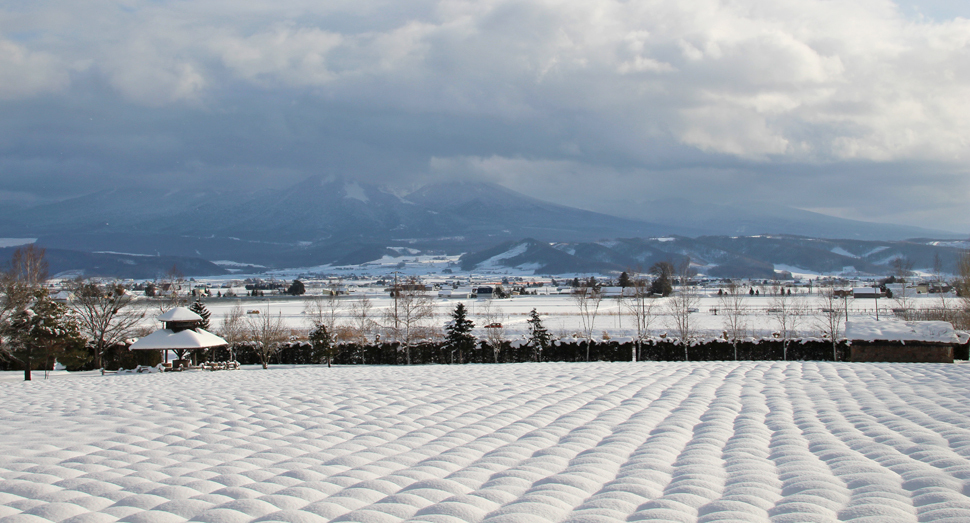 ファーム富田 ＜12月＞ 画像提供：ファーム富田