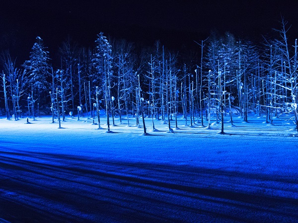 青い池の冬期ライトアップ