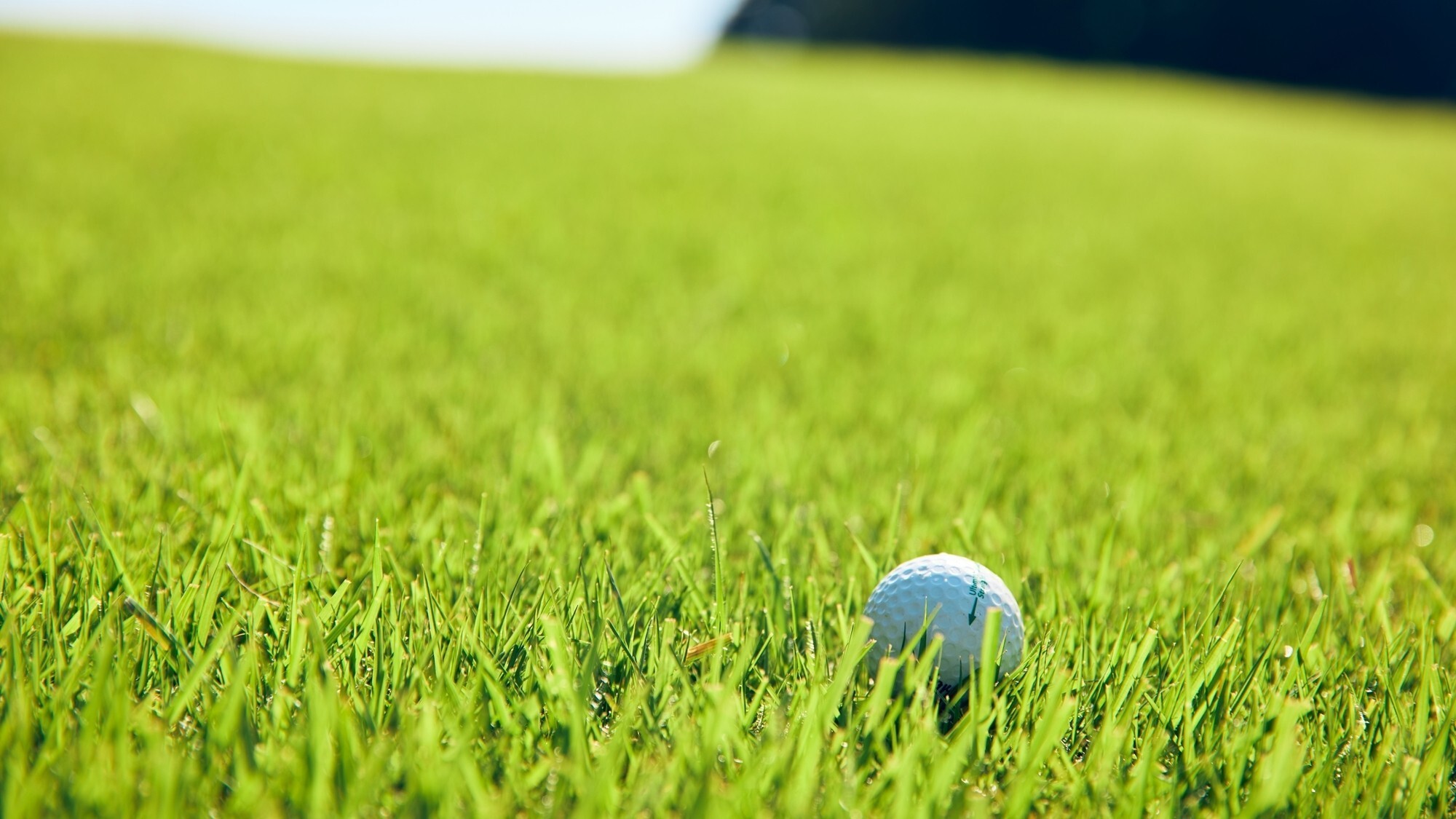 [ゴルフ場]ホテル1階にショップをご用意しておりますので、アイテムをご購入いただけます。