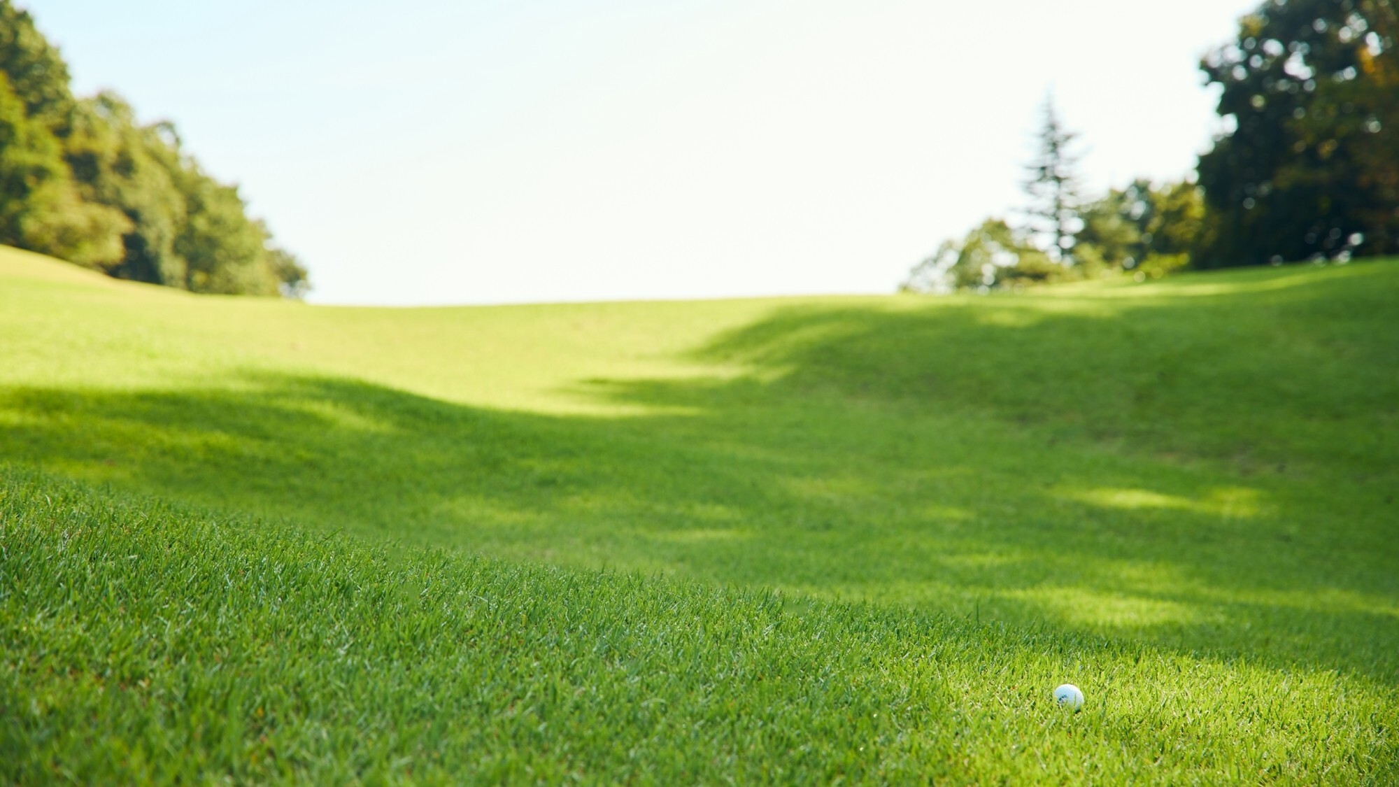 [ゴルフ場]豊かな自然と澄んだ空気の中でプレイをご満喫ください。