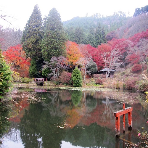 鳥見山公園