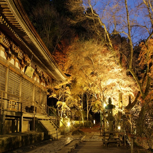 室生寺紅葉ライトアップ