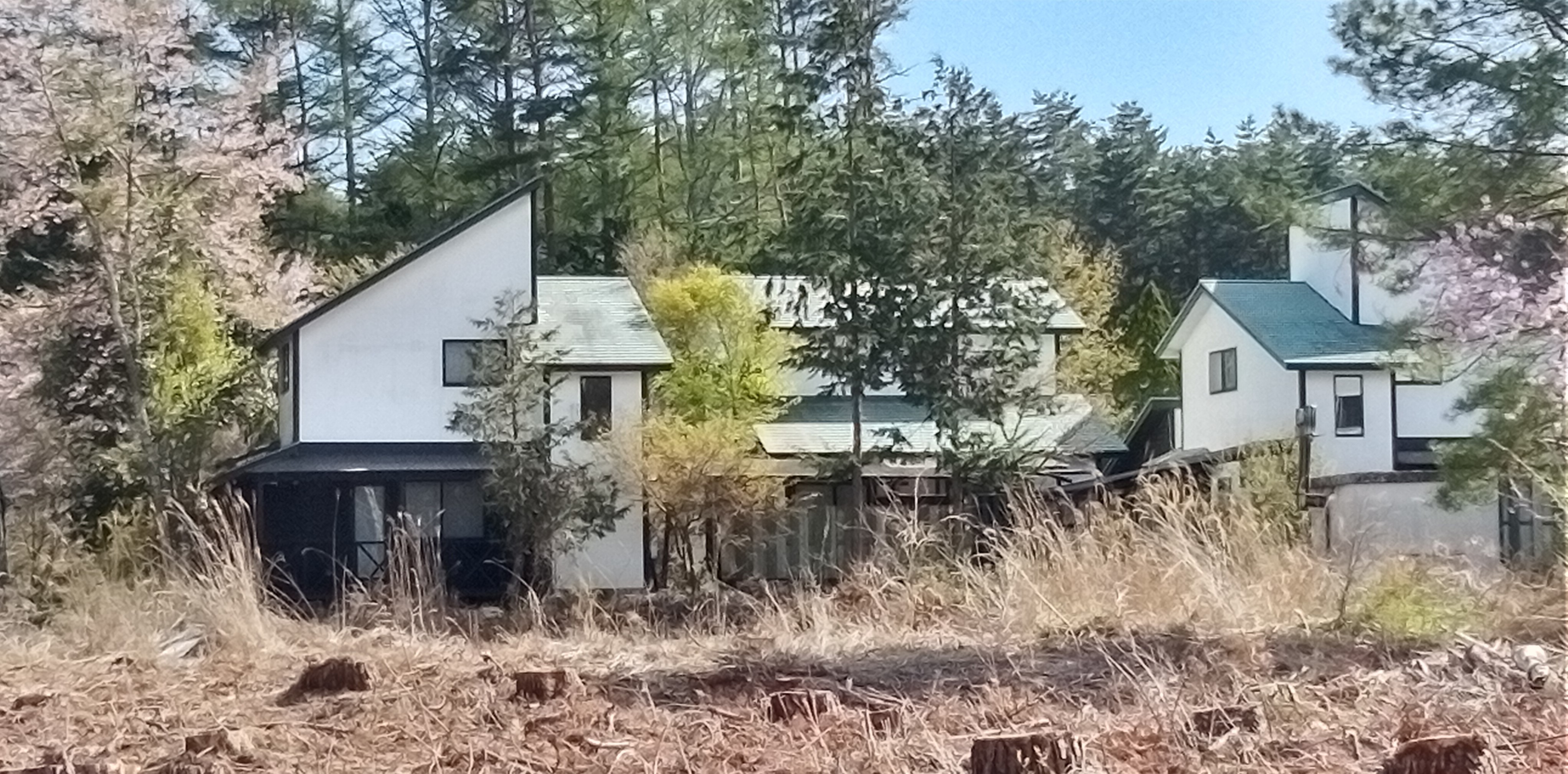 桜と富士山型の当館