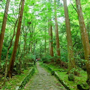 料理と天然温泉!渓流の水の音に耳を傾け安らぐひとときを!華のたより懐石コース!