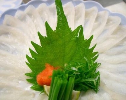 【あのりふぐフルコースプラン】天然トラフグを堪能