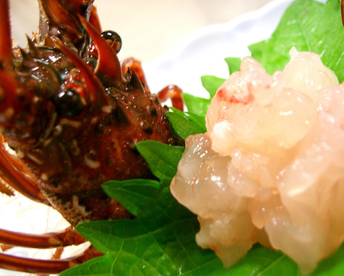 【お手頃*残酷焼き】に ぷらす やっぱり伊勢えび (^^♪