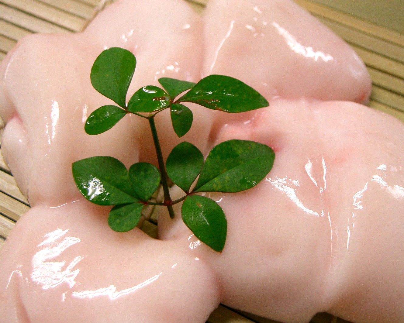 【あのりふぐ白子プラン】期間限定の逸品!天然トラフグの貴重な白子に舌鼓♪