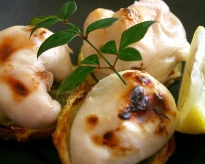 【あのりふぐ白子プラン】期間限定の逸品!天然トラフグの貴重な白子に舌鼓♪