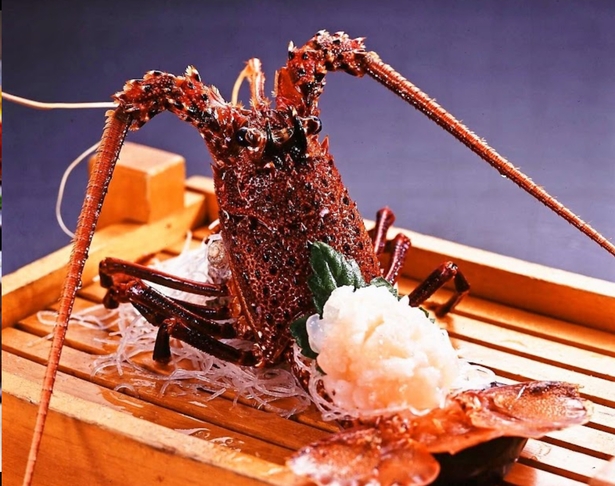 〜ペットに寄り添うおかみのこころづくし〜【創業60年の料理宿のこだわり漁師会席】夕食お部屋出し