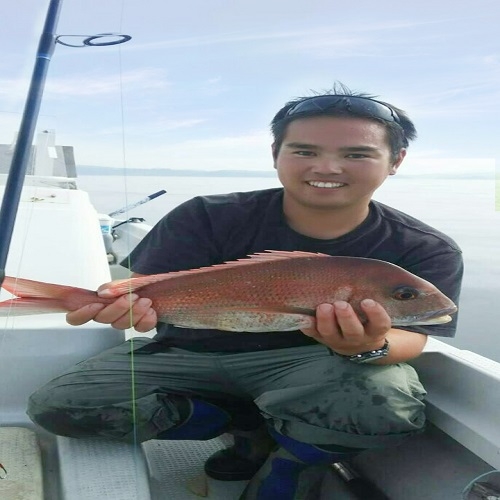 【お食事処】ペットと想い出旅♪〜絶景と温泉で癒され、旬魚と海の幸満喫プラン〜