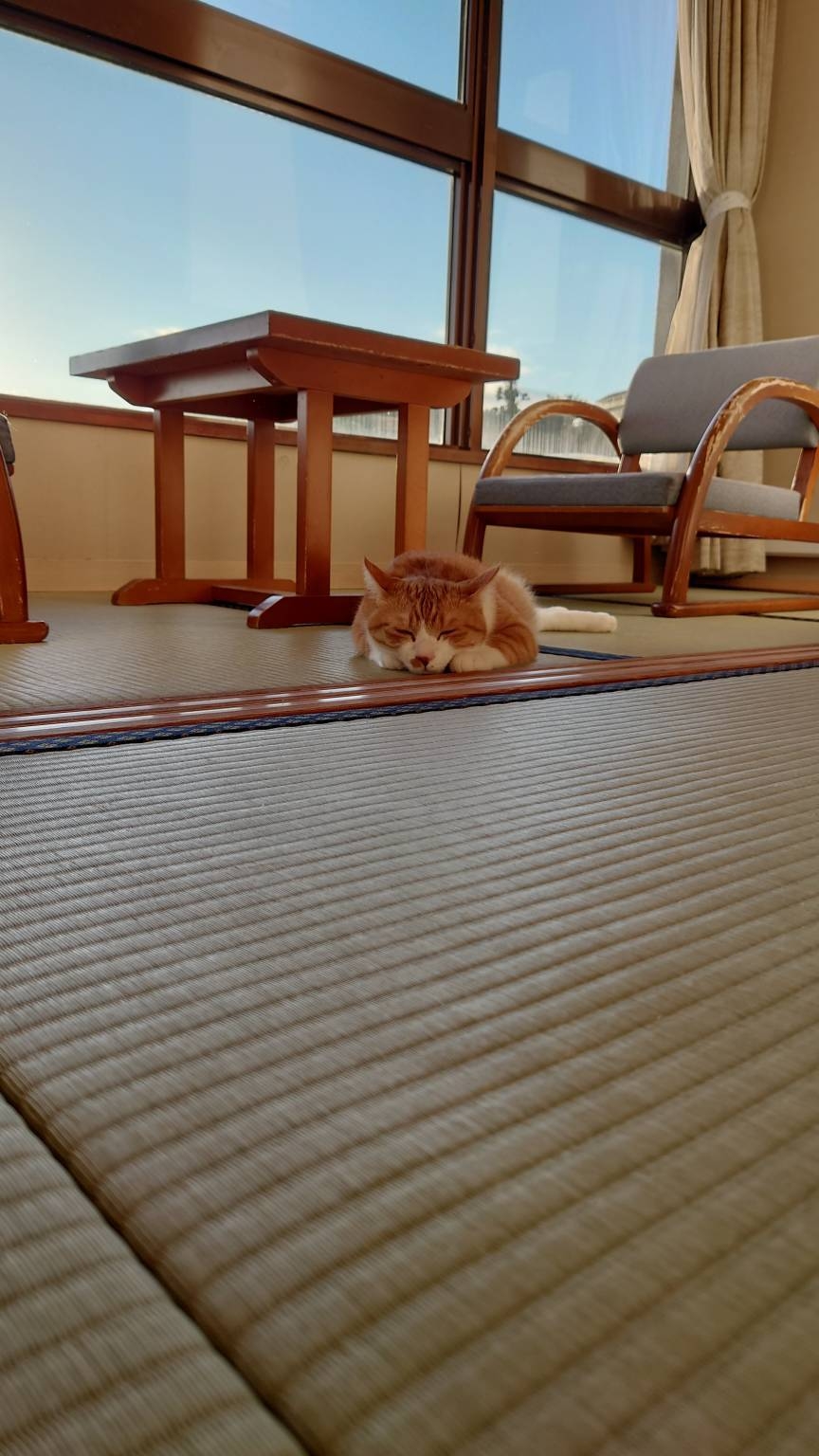 ≪安価に泊まりたいプラン≫お造り定食をお部屋にお届け。ゆっくりお部屋食！