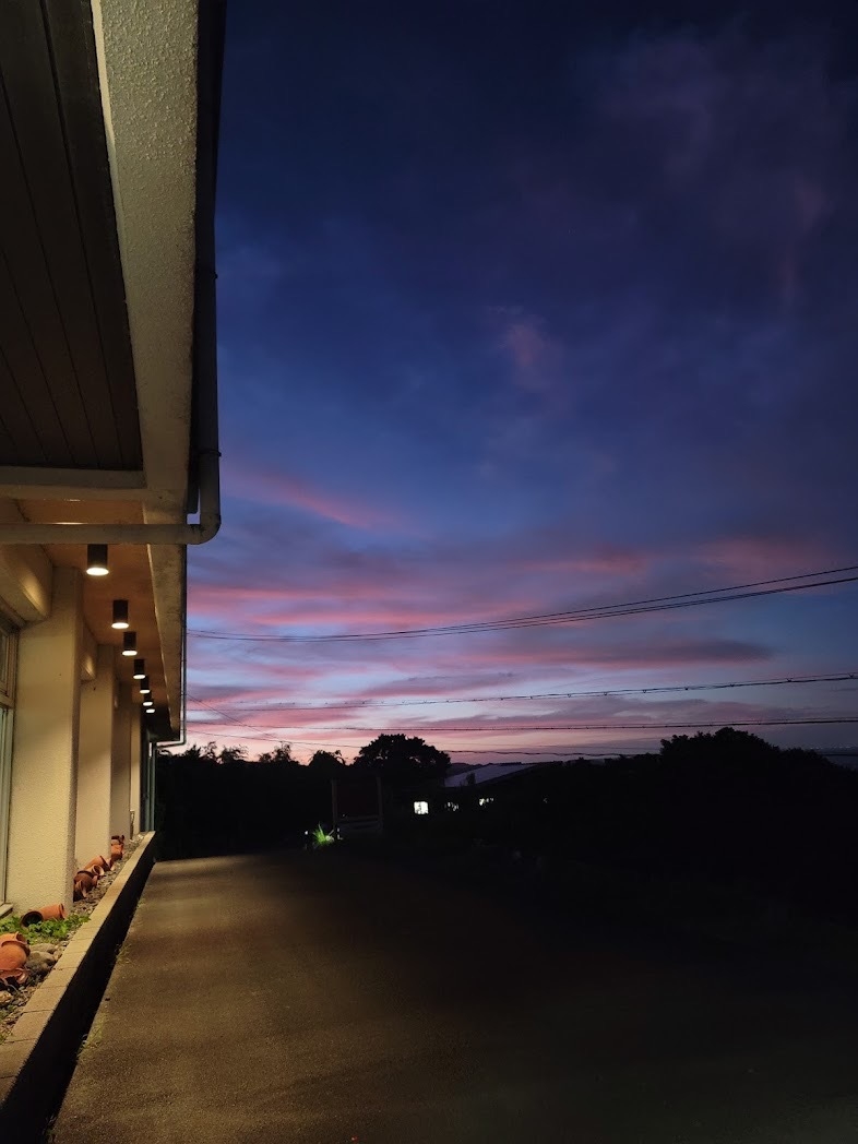 ＜秋冬企画＞伊勢海老付！気軽に楽しむ海の幸会席♪小食や、お酒メインの方におススメ