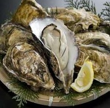 【旬を満喫】牡蠣づくし＆獲れたて旬魚のコラボプラン！ペットとの時間を、絶景と貸切温泉での旅