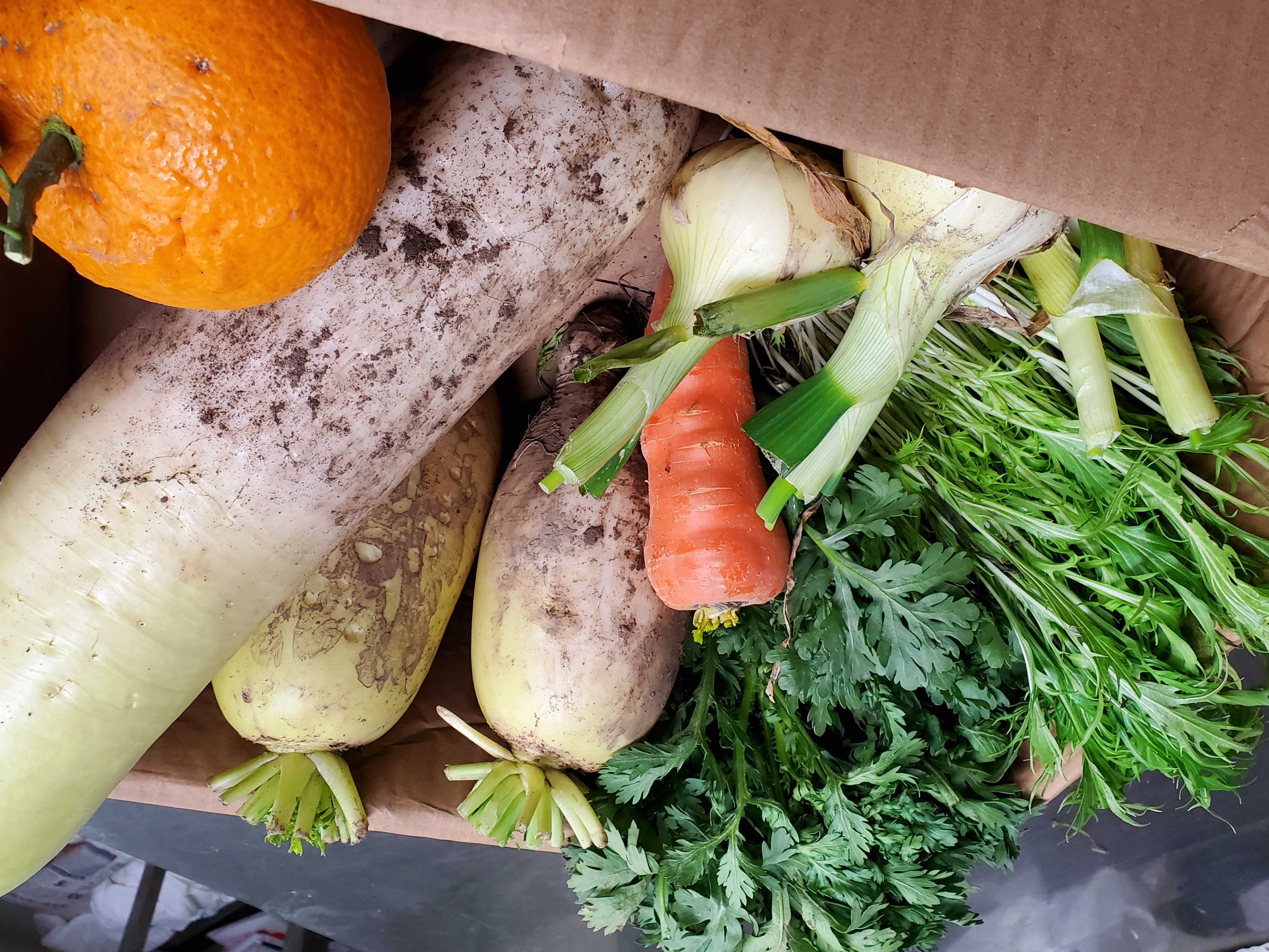 契約農家さんのお野菜