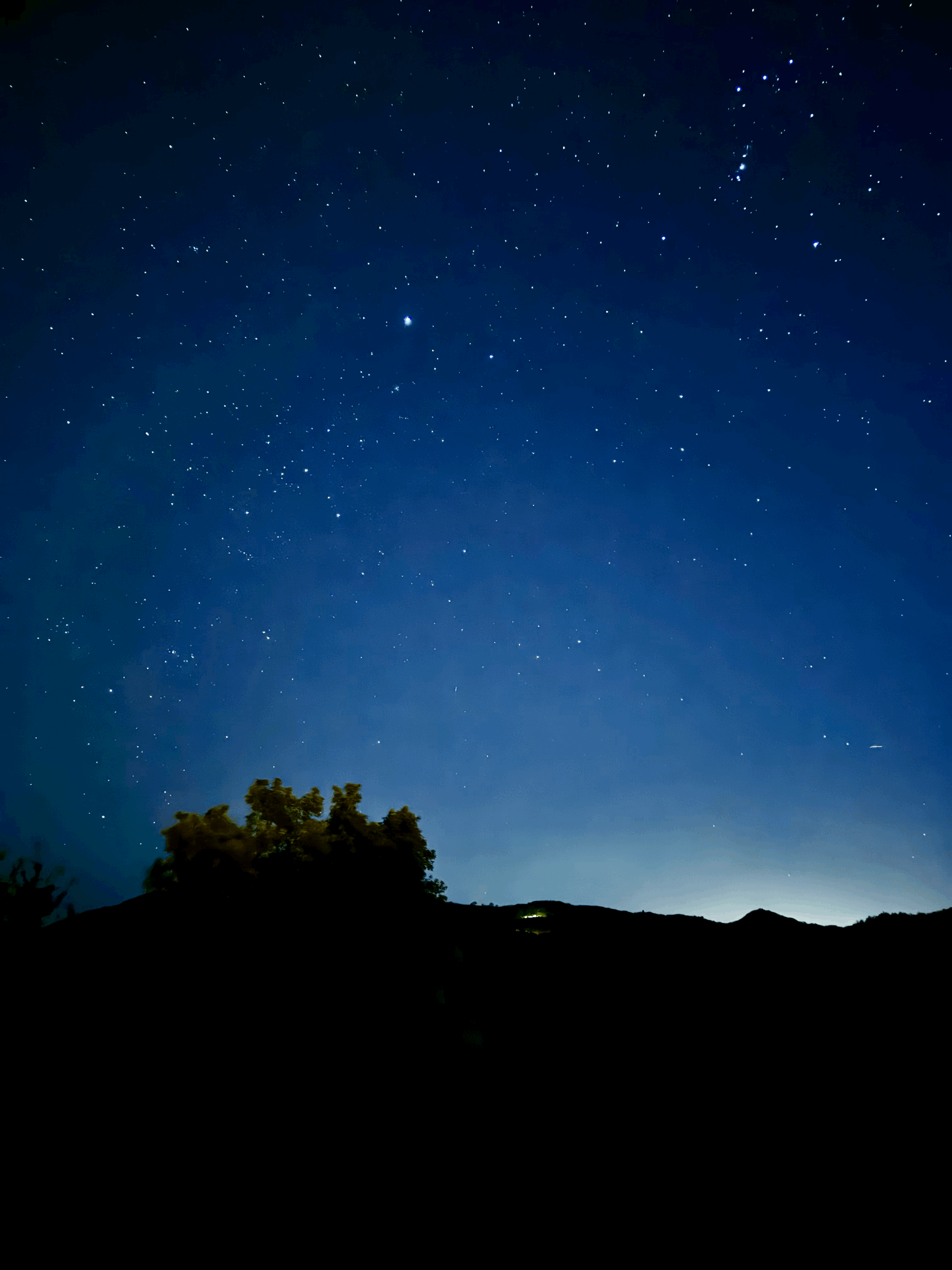 天空に咲く星の花