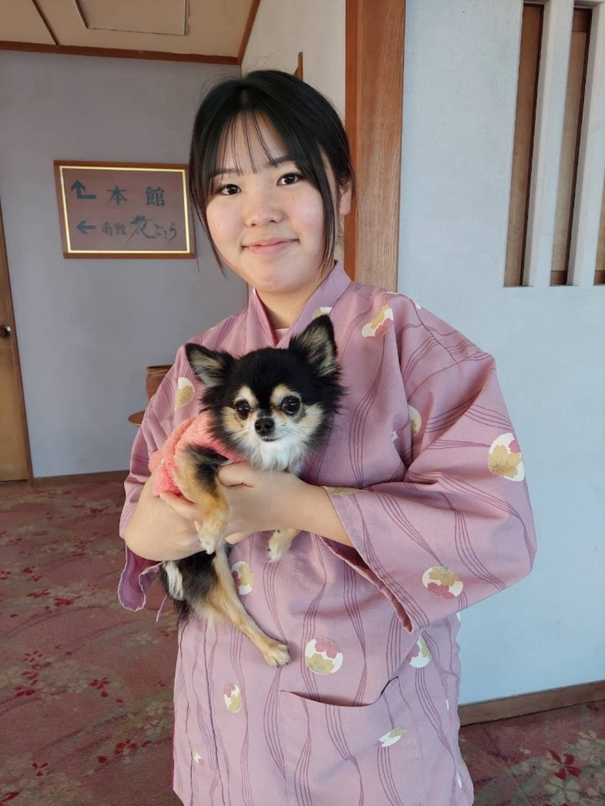 犬も人も、共に安心できる宿