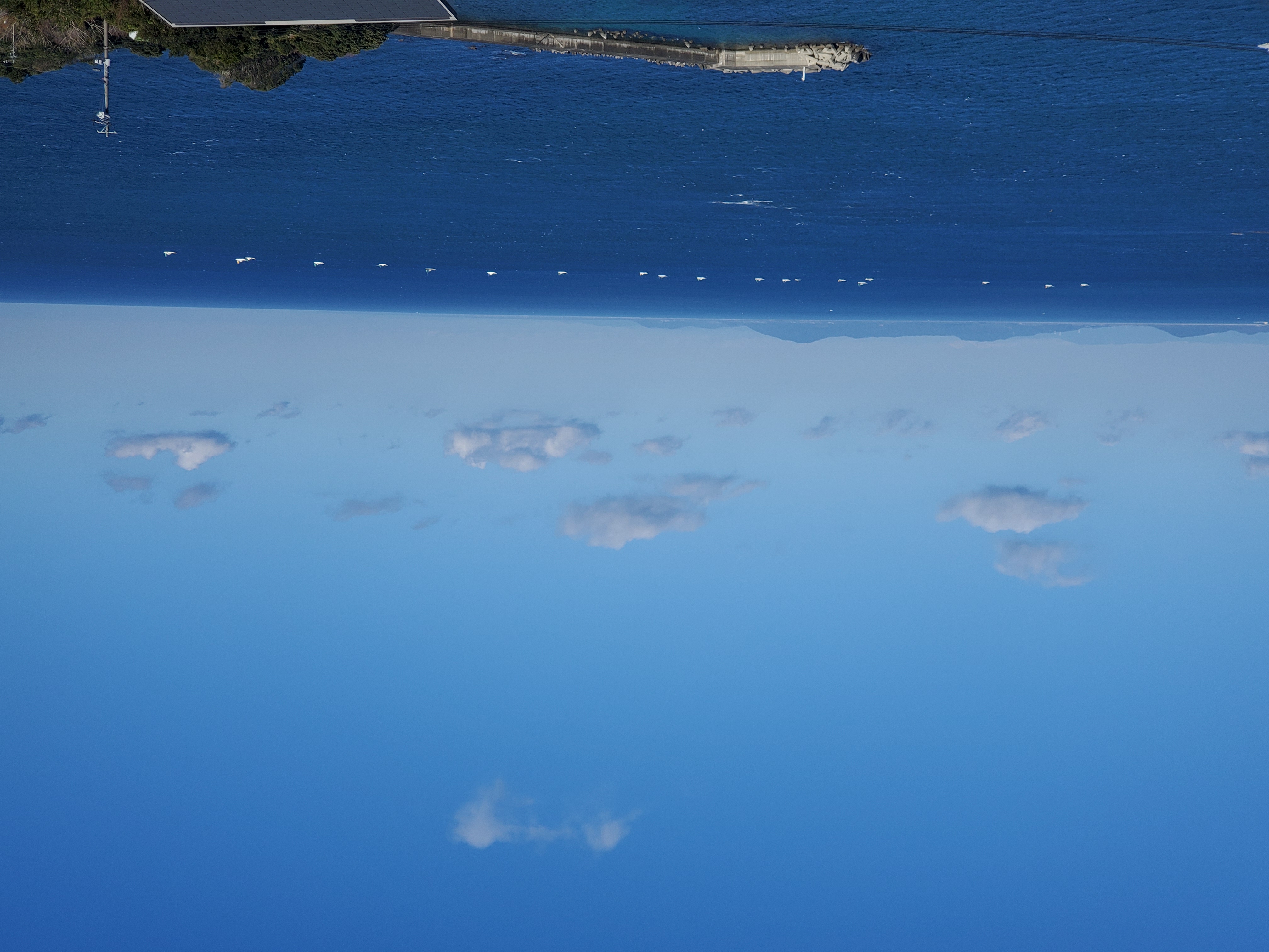 たくさんの船が出ております。