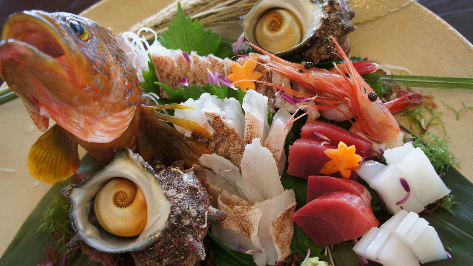 ★日本海鮮魚　姿盛り付♪お刺身５種盛りプラン♪