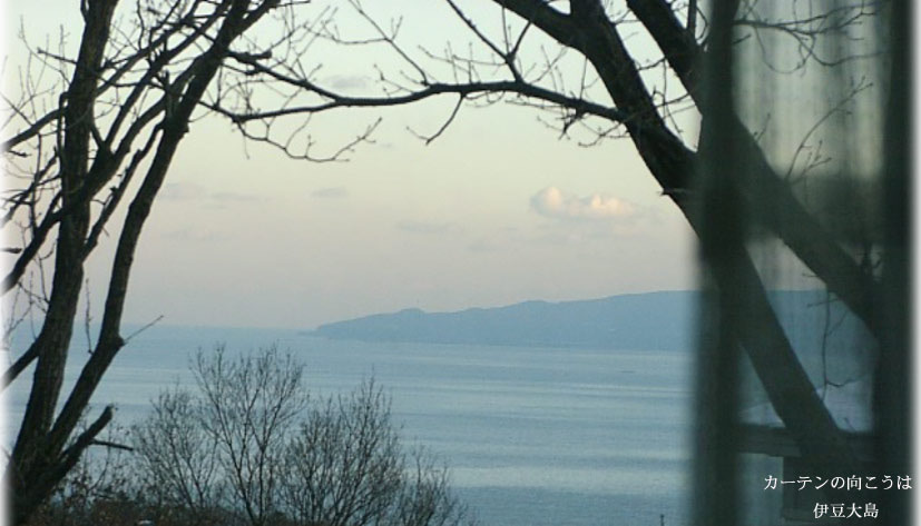窓から伊豆大島