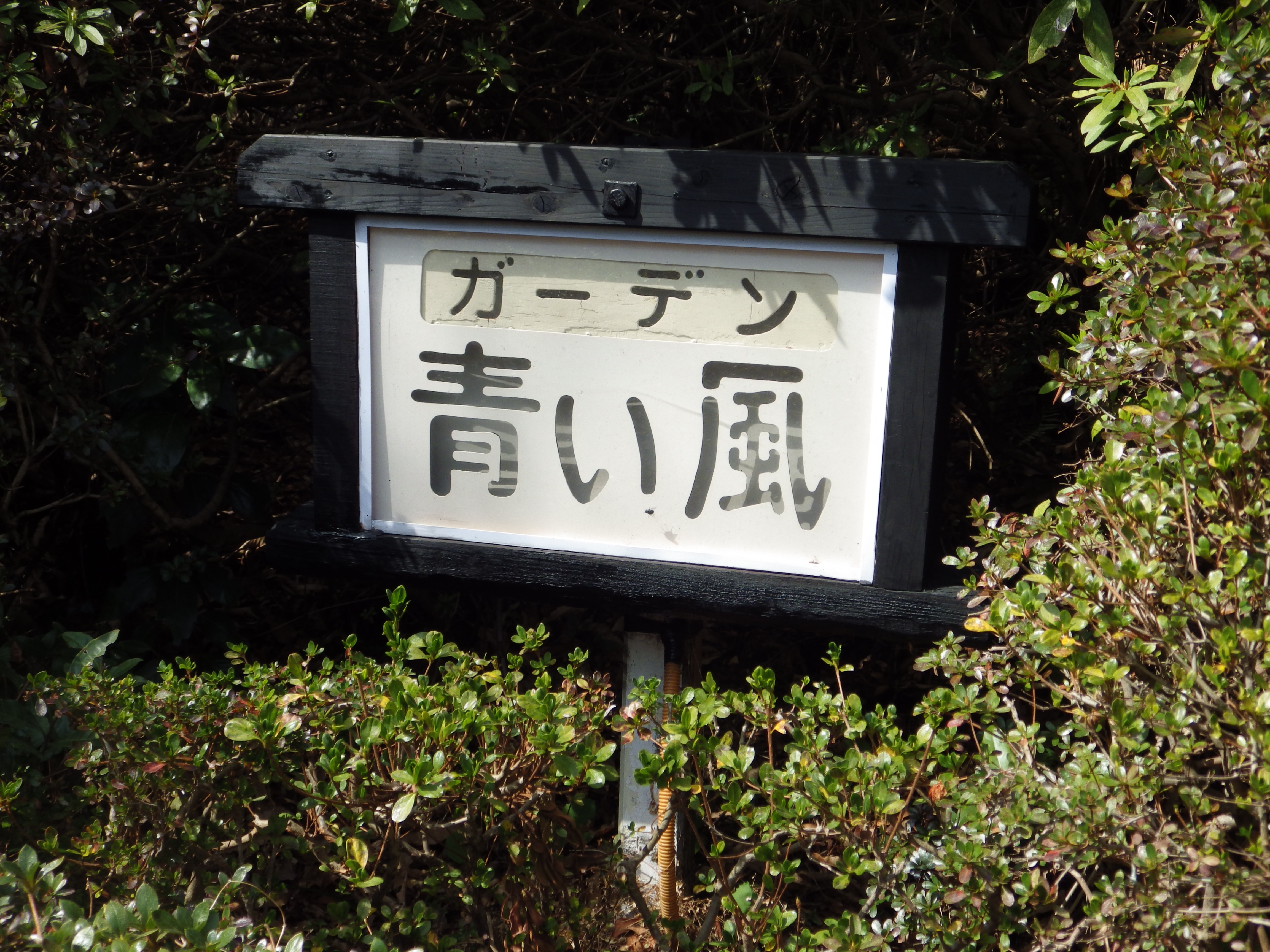 青い風看板、夜間照明