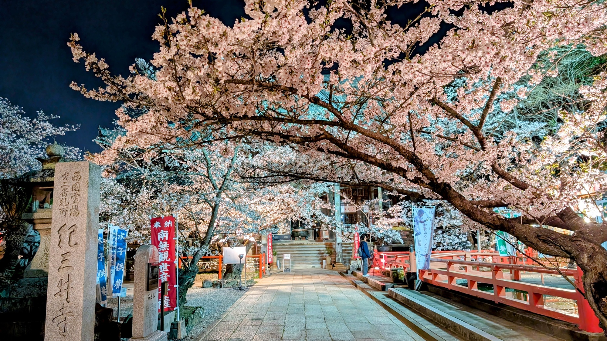 *紀三井寺（車で約20分）早咲きの桜の名所で西国三十三所大2番札所。