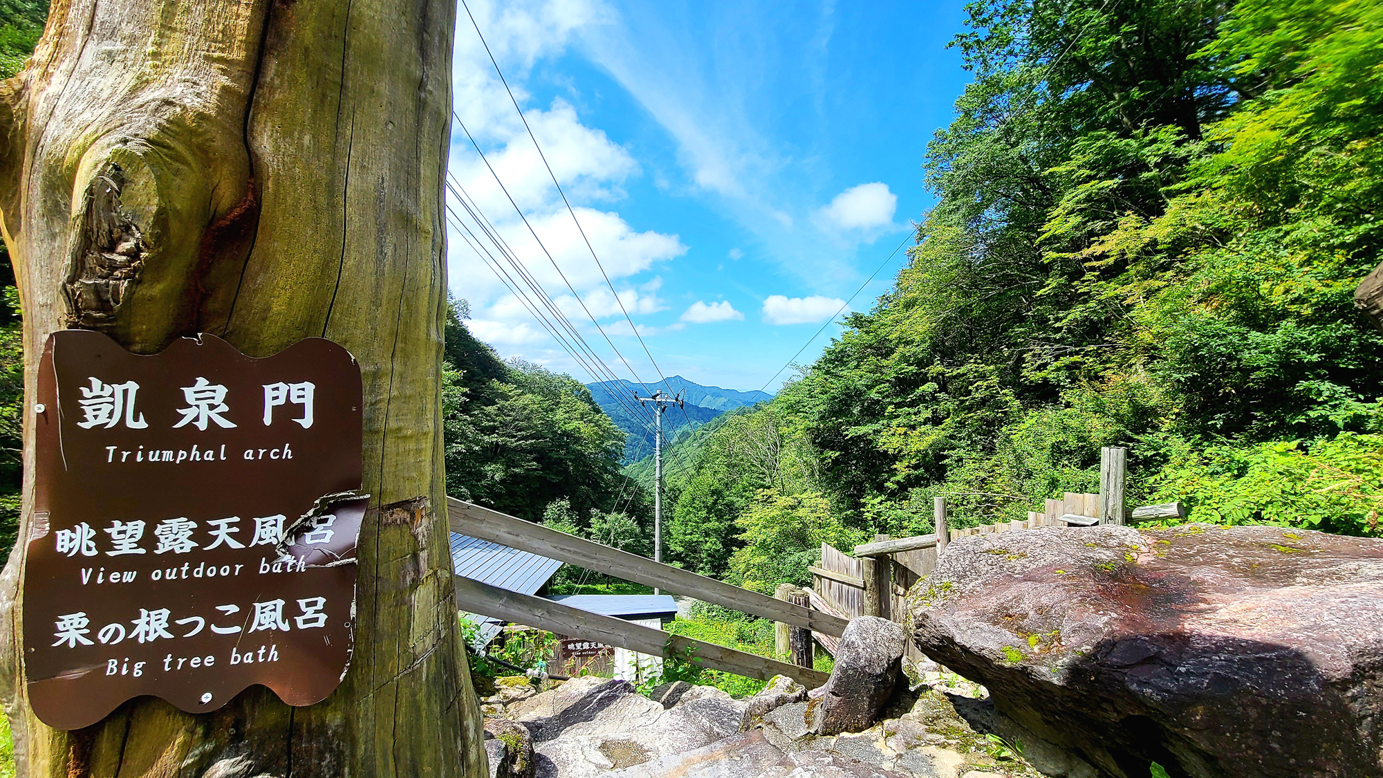 【眺望露天・根っこ風呂】