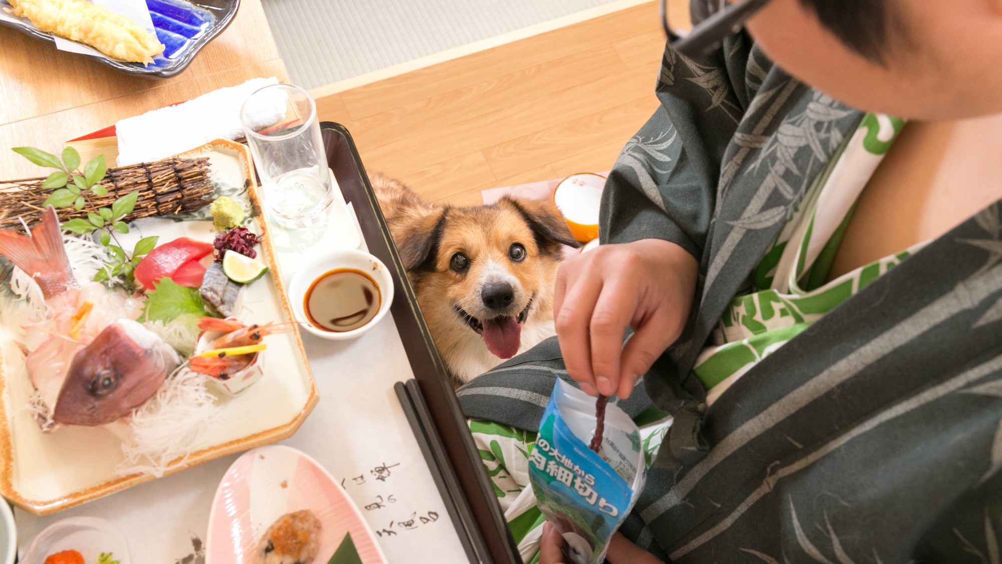 わんこと一緒にお泊りしよう♪グルメ会席＆お部屋食でゆっくりと♪【直前割★見つけたらラッキー】